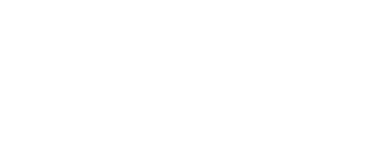 Wild Atlas Guide