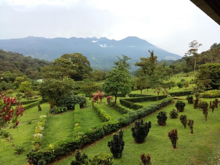 Celeste Mountain Lodge