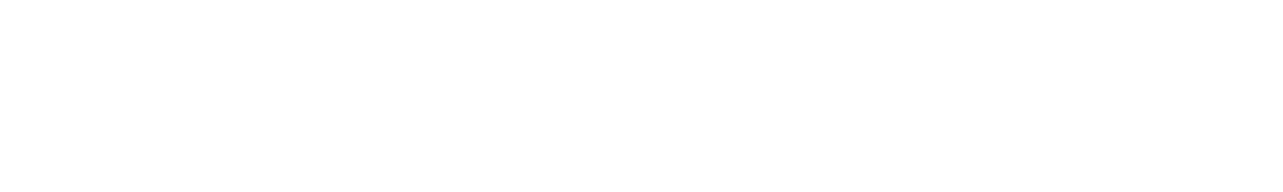 Wild Atlas Guide