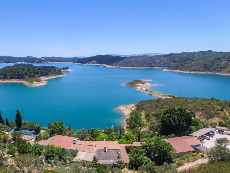 Birding in Portugal
