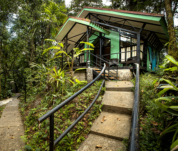 Habitación Deluxe