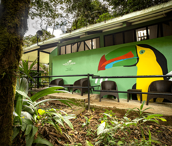 Tapirus Lodge