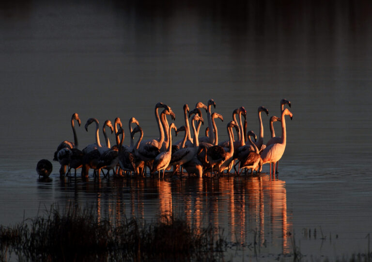Durankulak Lake - General Protected Area