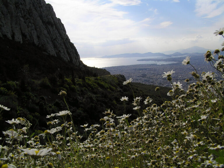 Mt Hymettus
