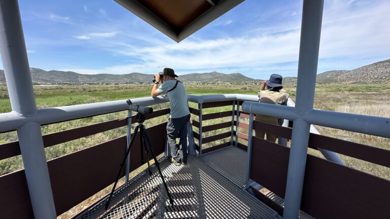 Schinias National Park