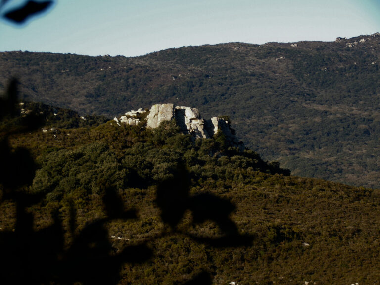 Los Alcornocales Natural Park