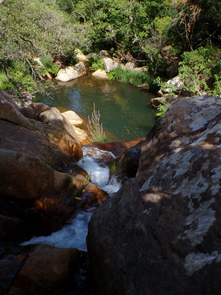 Los Alcornocales Natural Park