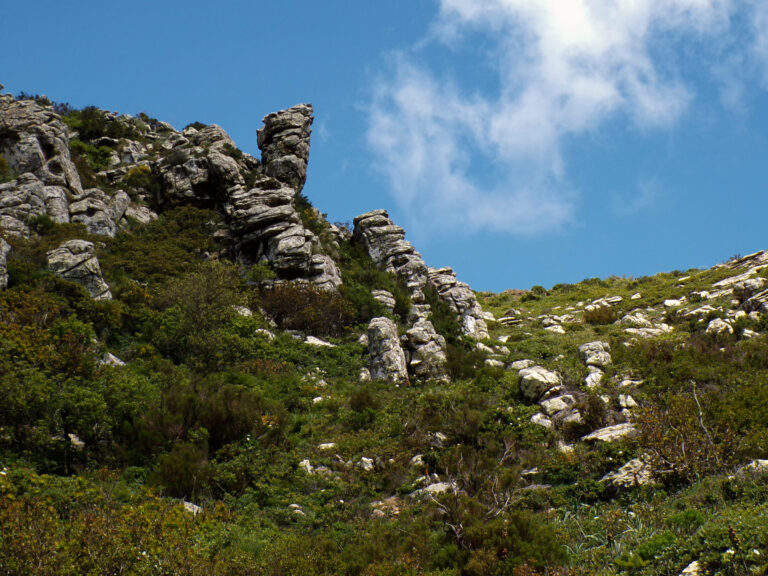 Los Alcornocales Natural Park