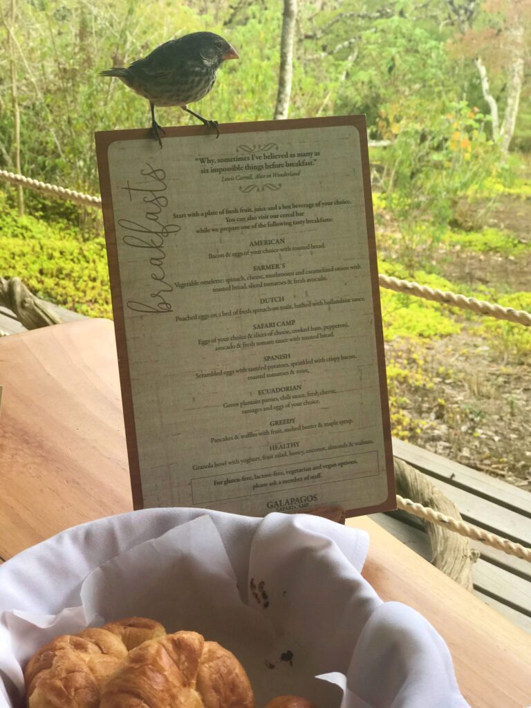 Galapagos Safari Camp
