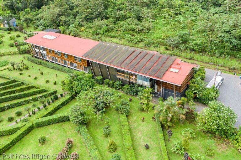 Celeste Mountain Lodge