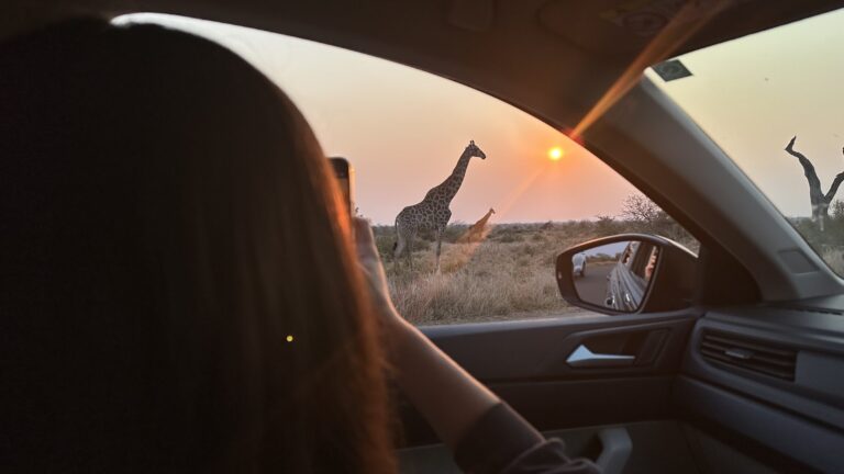 Sudáfrica salvaje: Safari + Costa