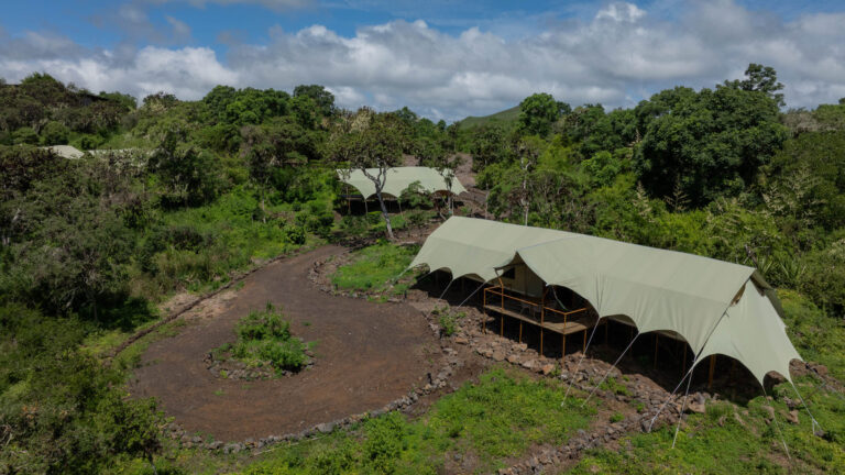 Galapagos Safari Camp