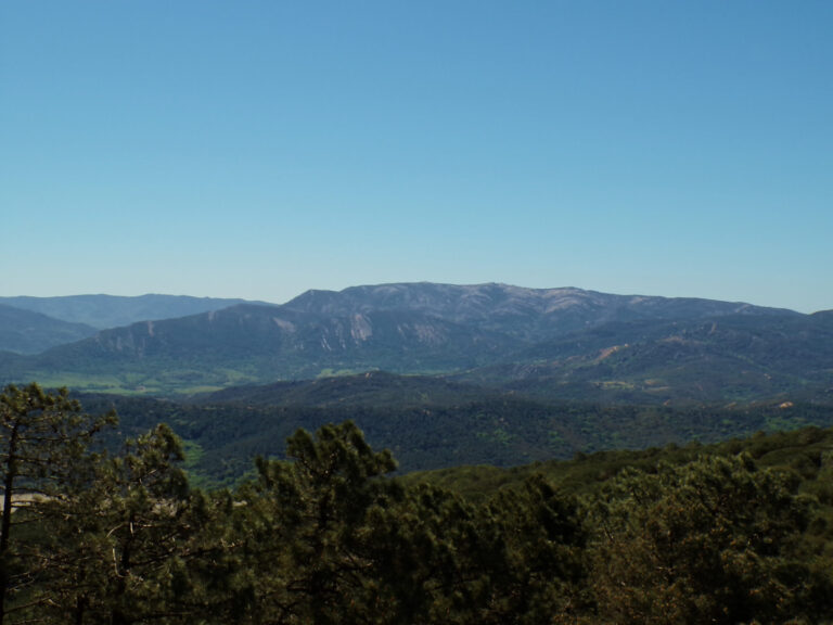 Los Alcornocales Natural Park