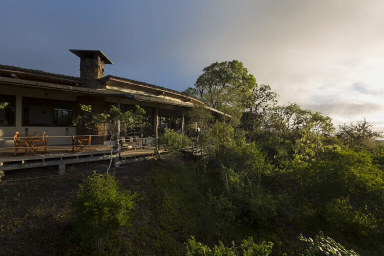 Galapagos Safari Camp