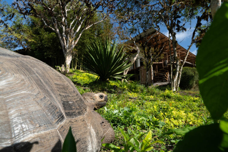 Galapagos Safari Camp