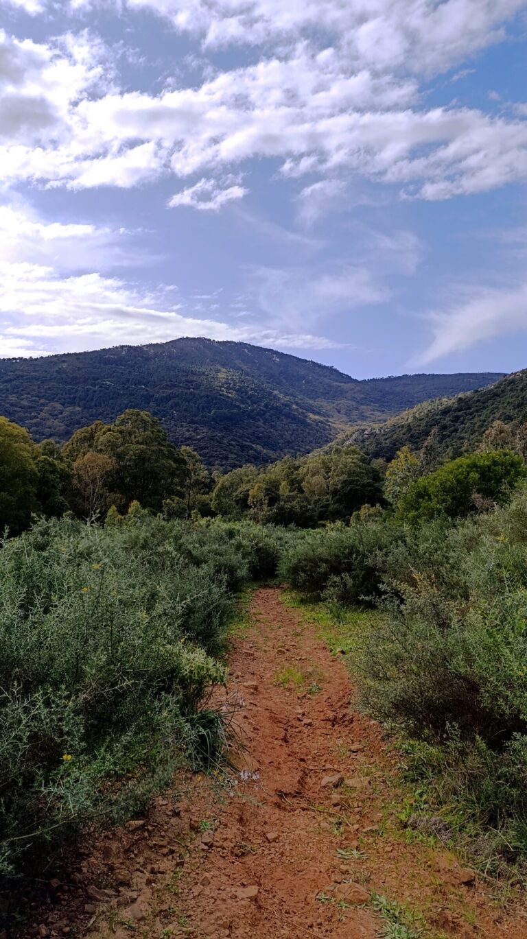 Los Alcornocales Natural Park