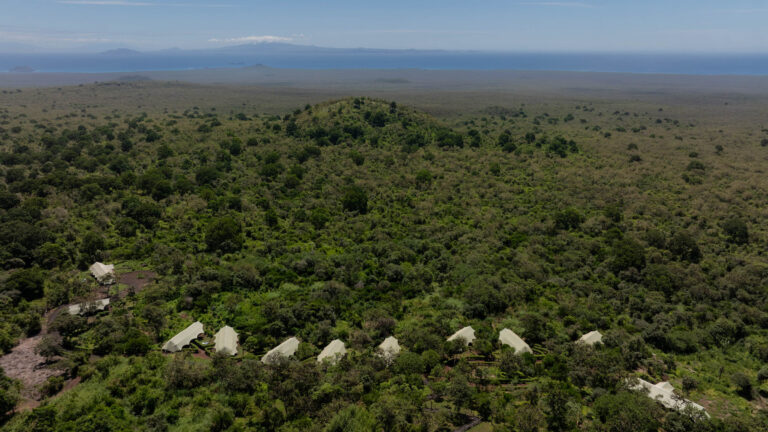 Galapagos Safari Camp