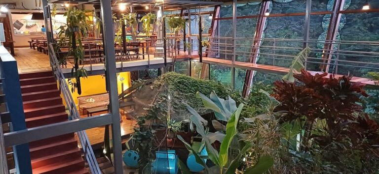 Celeste Mountain Lodge