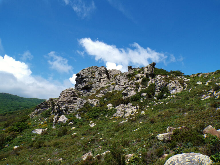Los Alcornocales Natural Park